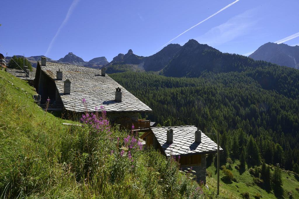 Rifugio Vieux Crest Hotel Champoluc Buitenkant foto